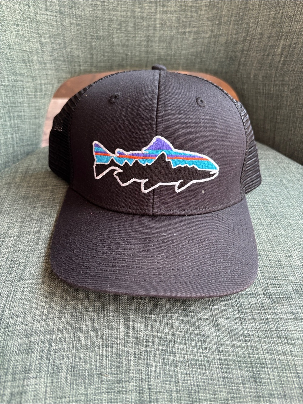 Patagonia men’s unisex Black Trucker Hat with Colorful Fish Patch Womens EUC